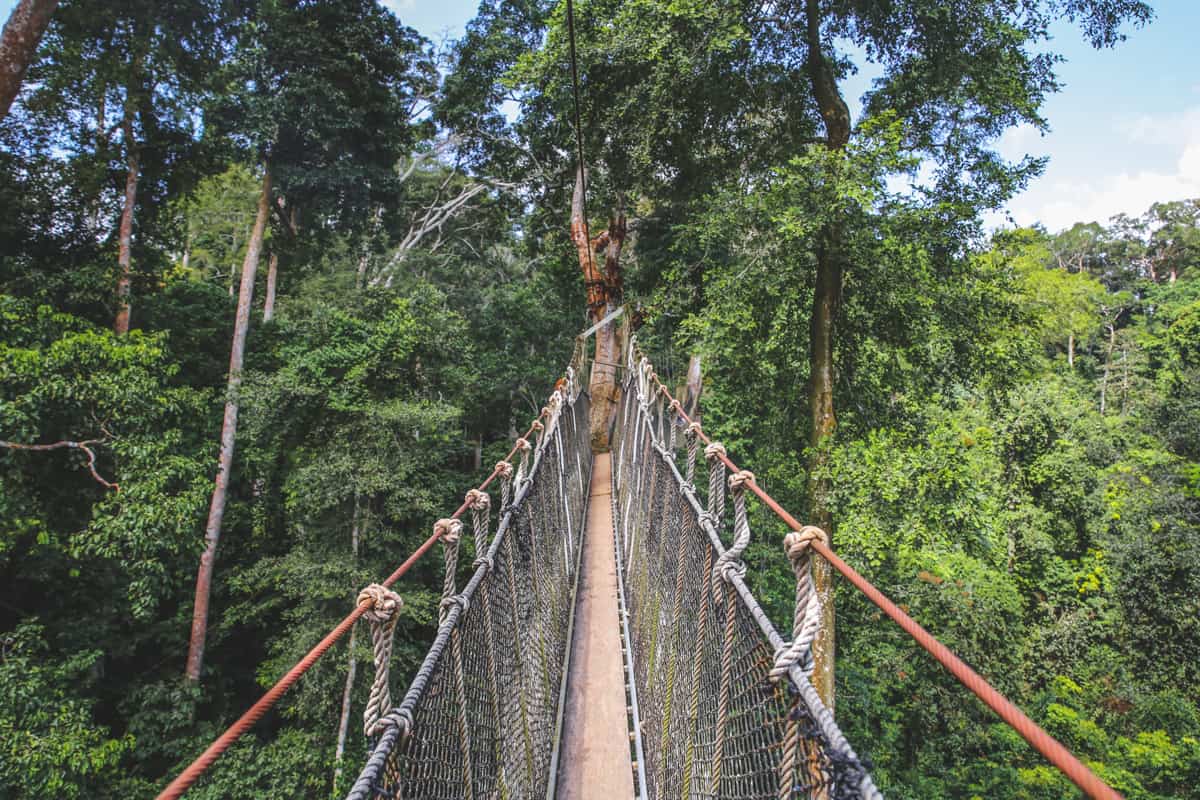 Kakum Canopy Walk